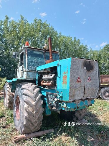 мини трактор белорус: Тракторы