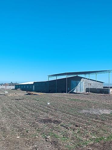 Продажа сельхоз предприятий: 1000 соток, Действующий, Частично с оборудованием, Электричество, Скважина, Холодная вода — 18