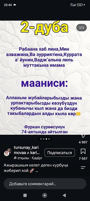 Ассалам алейкум кандайсыздар кимде колдонбой калган тошок журкан палас