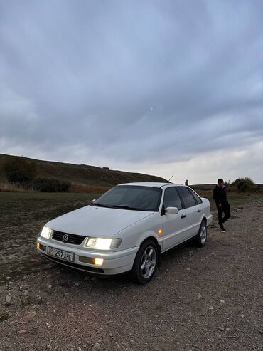 спойлер для фит: Volkswagen Passat: 1994 г., 1.8 л, Механика, Бензин, Седан