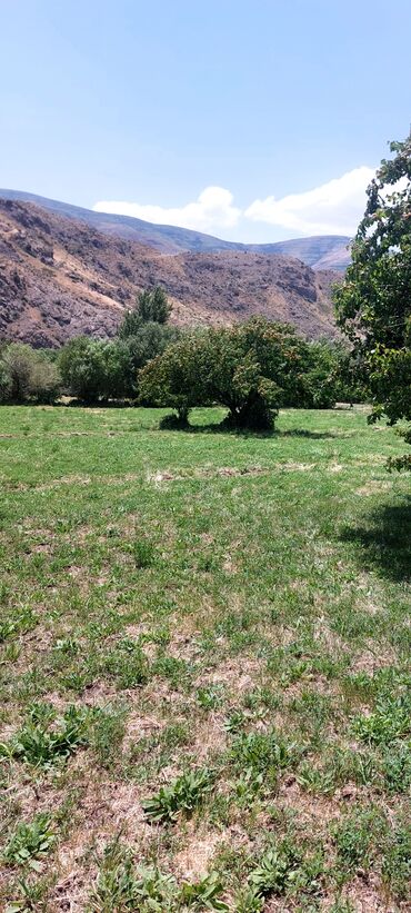 Torpaq sahələrinin satışı: Əkin sahəsi kənd təsərrüfatı fəaliyyəti üçün geniş imkanlar təklif — 3