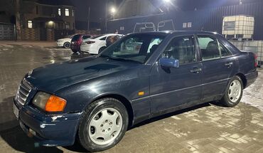 Mercedes-Benz: Mercedes-Benz 220: 1993 г., 2.2 л, Механика, Газ, Седан