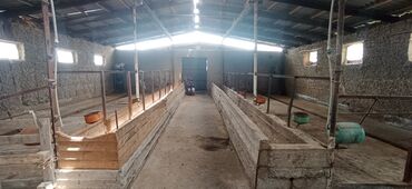 Продажа домов: Дом, 1000 м², 2 комнаты, Собственник, Старый ремонт — 3