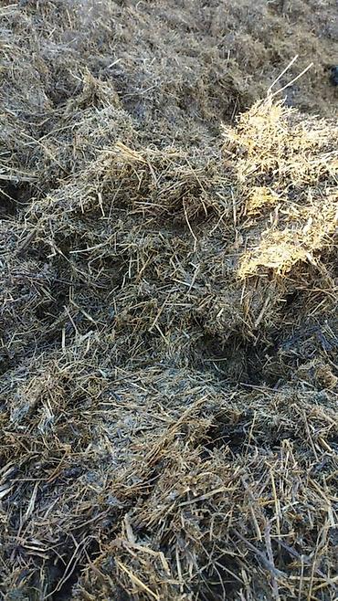 Корма для с/х животных: Силос 9 сомдон. Сенаж 12 сомдон. Токмок кегети беде биринчи кос таза — 3