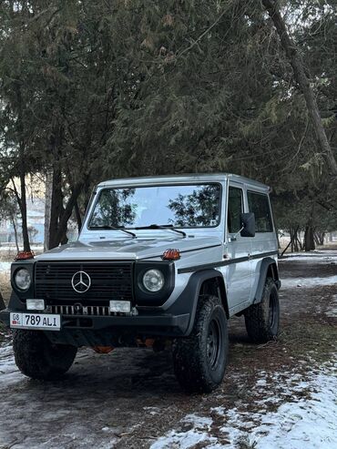 мерс гелендваген: Mercedes-Benz G-Class: 1987 г., 2.7 л, Механика, Дизель, Жол тандабас