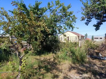 Продажа домов: Дом, 300 м², 4 комнаты, Собственник, Косметический ремонт at lalafo.kg — 11 Продажа домов: Дом, 300 м², 4 комнаты, Собственник, Косметический ремонт — 11