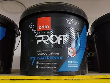 Краска акриловая brite PRO LINE PROFF Waterproof - Назначение: для