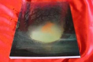 Stripovi: STRIP SIROČAD 2, 4, 5, 6, 8, DARKWOOD | Strip Siročad 2, 4, 5, 6, 8 — 30