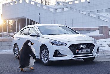 Hyundai: Hyundai Sonata: 2020 г., 2 л, Автомат, Газ, Седан — 12