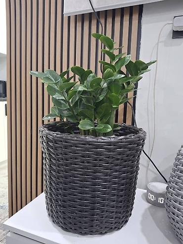 Горшки для растений: Плетёные кашпо для растений - Материал: синтетический ротанг — 19