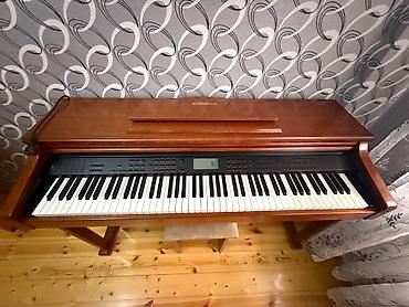 Музыкальные инструменты: Пианино, Steinway & Sons, Цифровой, Новый — 3