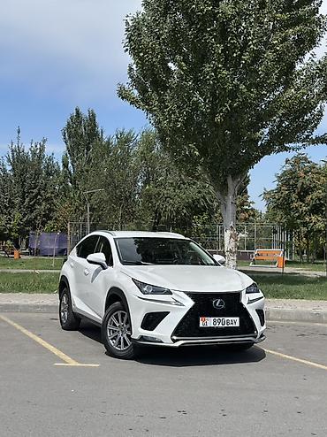 zimmer e9 pro: Lexus NX: 2020 г., 2.5 л, Вариатор, Гибрид, Кроссовер — 1