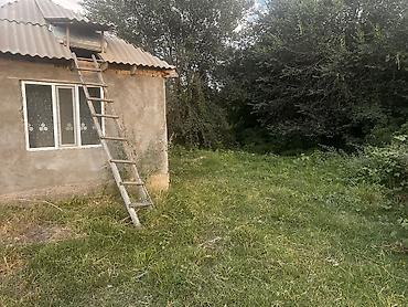 Продажа домов: Времянка, 60 м², 2 комнаты — 12