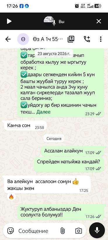 кадамжой: 🌱Бит сиркеге каршы оригиналдуу 🧴 "АЙША ЭКО СПРЕЙ" 100% табигый — 8