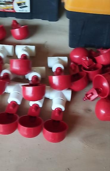 bildircin yuvası: Quşlar üçün avtomatik suvarma fincanları (nipel fincanı) - Qırmızı — 1