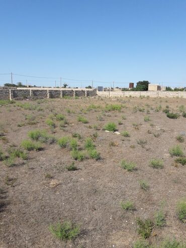 Torpaq sahələrinin satışı: 5 sot, Tikinti, Mülkiyyətçi, Kupça (Çıxarış) -da lalafo.az — 10 Torpaq sahələrinin satışı: 5 sot, Tikinti, Mülkiyyətçi, Kupça (Çıxarış) — 10