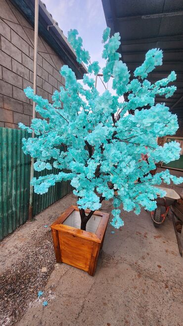 Декоративные цветы: Сакура искусственное дерево высота 2 м ширина 2 м цена от 1000 сом at lalafo.kg — 14 Декоративные цветы: Сакура искусственное дерево высота 2 м ширина 2 м цена от 1000 сом — 14