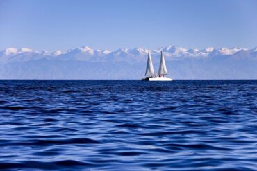 сдаю дом на иссык куле: 400 соток, Для бизнеса, Красная книга, Генеральная доверенность