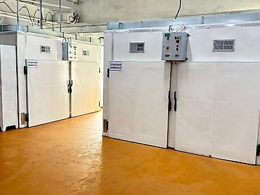 Молочные продукты и яйца: Кыргыз Курут - натуральный!!!
Оптом!!! — 9