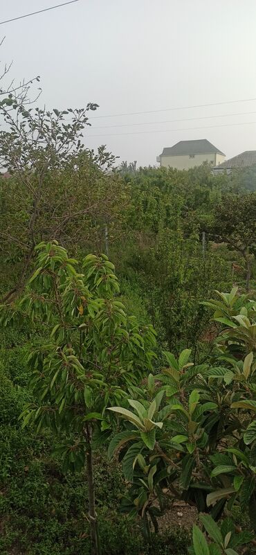 Həyət evləri və villaların satışı: 6 otaqlı, 120 kv. m, Orta təmir -da lalafo.az — 4 Həyət evləri və villaların satışı: 6 otaqlı, 120 kv. m, Orta təmir — 4