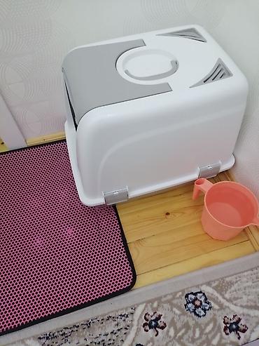 qold pişik: Salam pişiyim içine rahat yerleşmediyine satıram. Kiçik razmer — 3