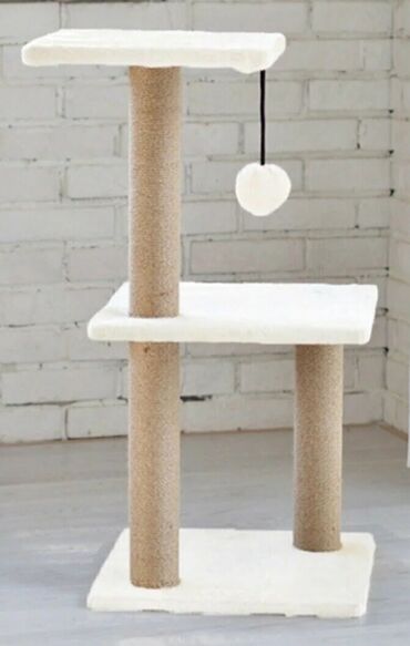 Pişiklər: Erkək, Dişi -da lalafo.az — 24 Pişiklər: Erkək, Dişi — 24