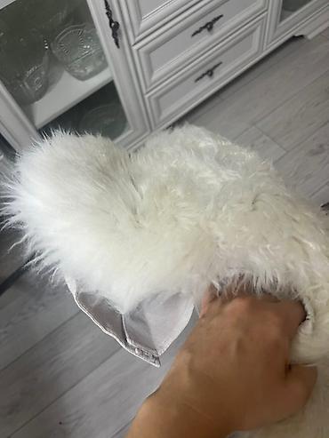 Чехлы и накидки на сиденья: Чехлы Меховые, Lexus — 6