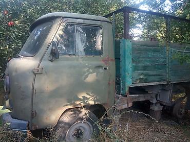 машина старый: УАЗ 452 Buhanka: 1985 г., 2.4 л, Механика, Бензин — 1