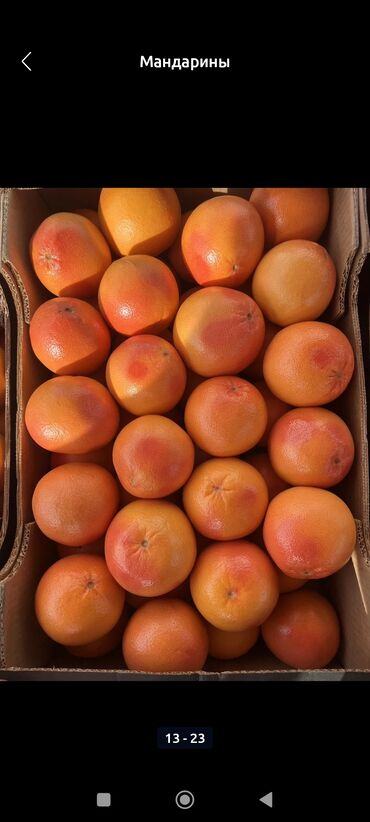 Мандарины: Мандарины Оптом — 10