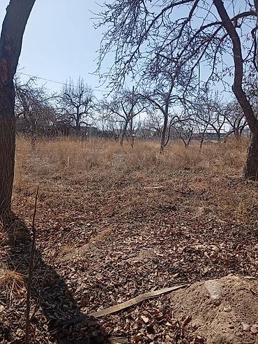 Продажа участков: 20 соток, Для строительства — 10