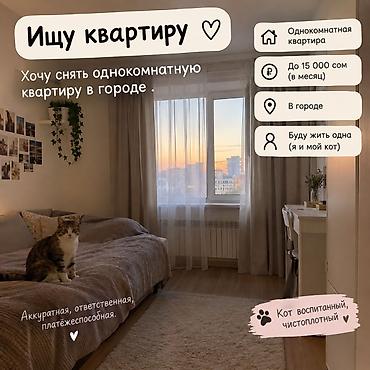 Батирди ижарага алам: Ищу однокомнатную квартиру в городе. Пожелания: - Бюджет: до 15 000 — 1