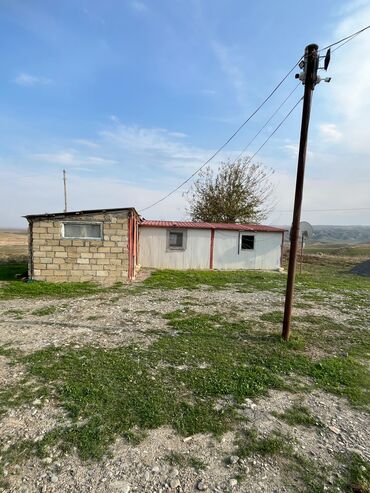 Torpaq sahələrinin satışı: Kənd təsərrüfatı — 32