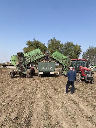 Грузовики: Грузовик, Камаз, Стандарт, 7 т, Б/у — 12