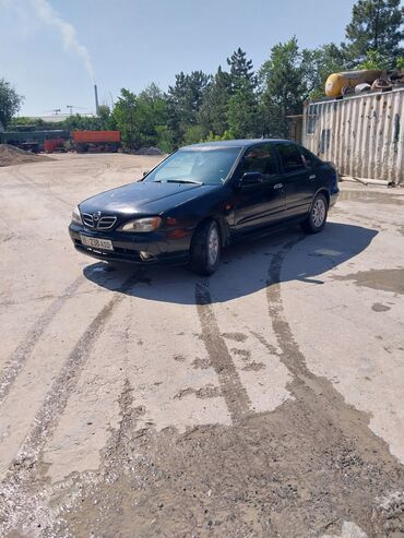 купить автомобиль маз в бишкеке: Nissan Primera: 2001 г., 1.8 л, Механика, Бензин, Седан