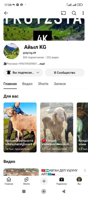 сколько стоит баннер: 💵РЕКЛАМА ПО ПРОДАЖЕ ЖИВОТНЫХ]]] 🪙ҮЙ ЖАНДЫКТАР ҮЧҮН РЕКЛАМА ЖАСАЙБЫЗ]]]