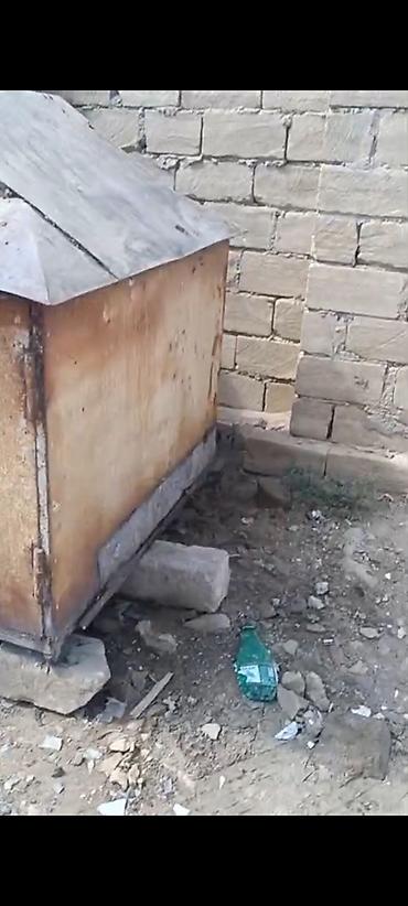 Budkalar, köşklər: Metall qutu/saxlama köşkü - Material: qalın metal lövhələr və — 1