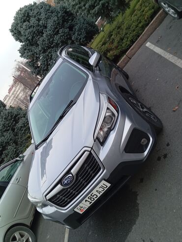 Частная аренда авто: Суточный прокат авто эконом класса люкс классы внедорожники минивэны — 4