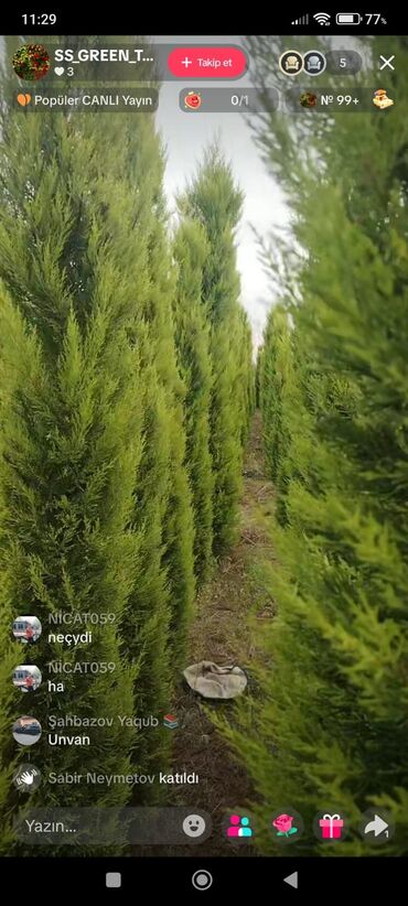 Çöl bitkiləri: Bağ və landşaft üçün qapalı qablarda əkilmiş dekorativ bitkilər - — 13