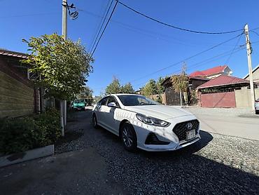 Продажа авто: Hyundai Sonata: 2020 г., 2 л, Автомат, Газ, Седан — 2