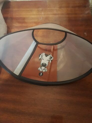 отдаю в добрые руки: Отдам воротник для маленьких собак, за один кг сахара lalafo.kg да отдаю в добрые руки: Отдам воротник для маленьких собак, за один кг сахара