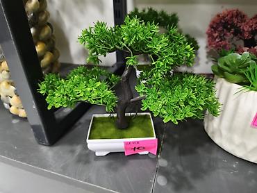 ваза: Süni bonsai dekorativ ağac - Realistik görünüşlü, qara gövdəli və sıx — 1