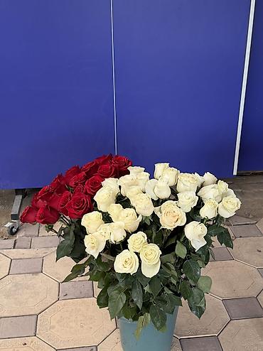 парфюм оригинал: На продаже голландские розы метровые Вчера ночью получили Свежие — 5