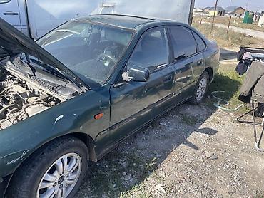 хонда акорт 1994: Honda Accord: 1995 г., 2 л, Бензин, Седан — 4
