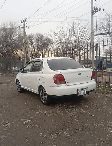 voxy noah: Toyota Echo: 2001 г., 1.5 л, Автомат, Бензин, Седан — 6