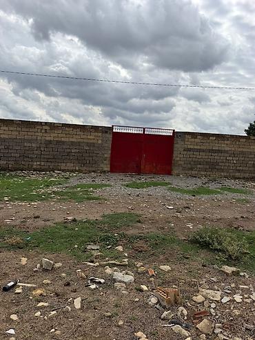 lökbatanda torpaq: 138 sot, Kənd təsərrüfatı, Mülkiyyətçi, Kupça (Çıxarış) — 10