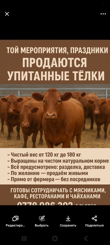 сколько стоит коза дойная купить: Продаю | Тёлка | На откорм