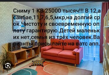 Сниму квартиру: 1 комната, 48 м², С мебелью