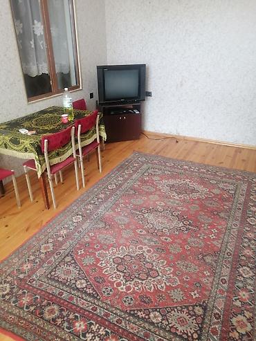 berde tap az: 3 otaqlı, 70 kv. m — 6