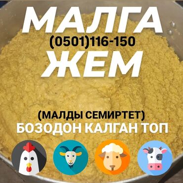 продаю жмых: Кукурузный жмых, жүгөрү топ, всегда свежий, без химии, постоянка