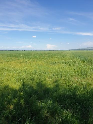 Продажа участков: 100 соток, Для сельского хозяйства — 6